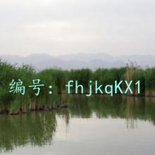 ʼ