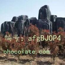 չ滮