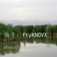 ѧ